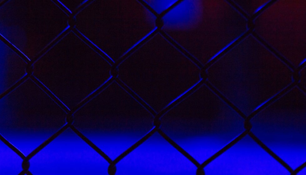 UFC 306: Noche UFC Event Preview